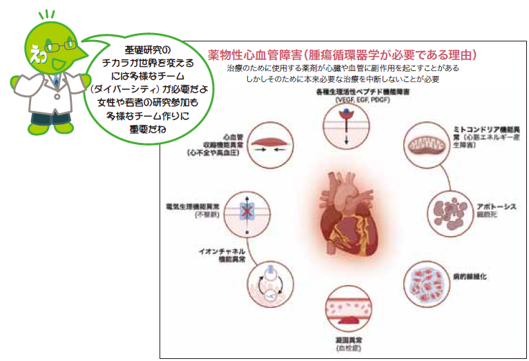 薬物性心血管障害に関する図