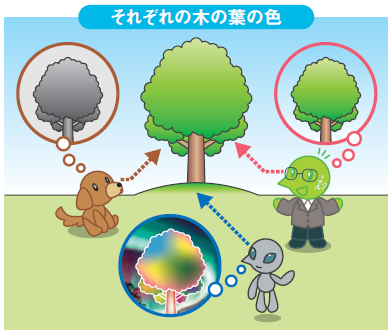 イラスト:それぞれの木の葉の色