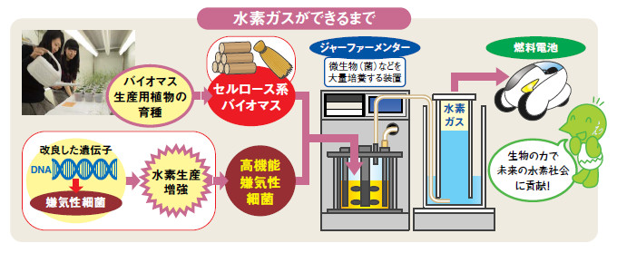 説明図:水素ガスができるまで