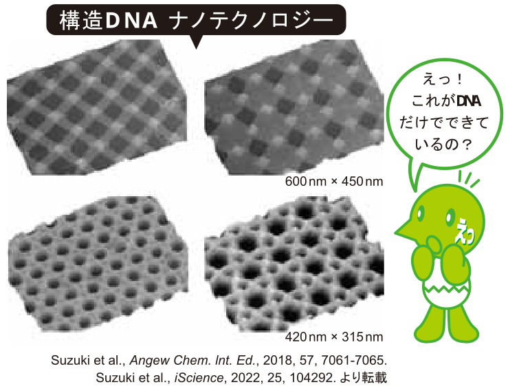 DNAナノテクノロジーとは？