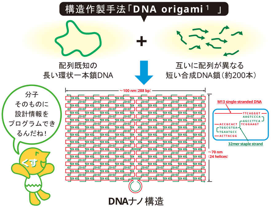 DNA＝「情報をコードしたプログラマブルなポリマー」