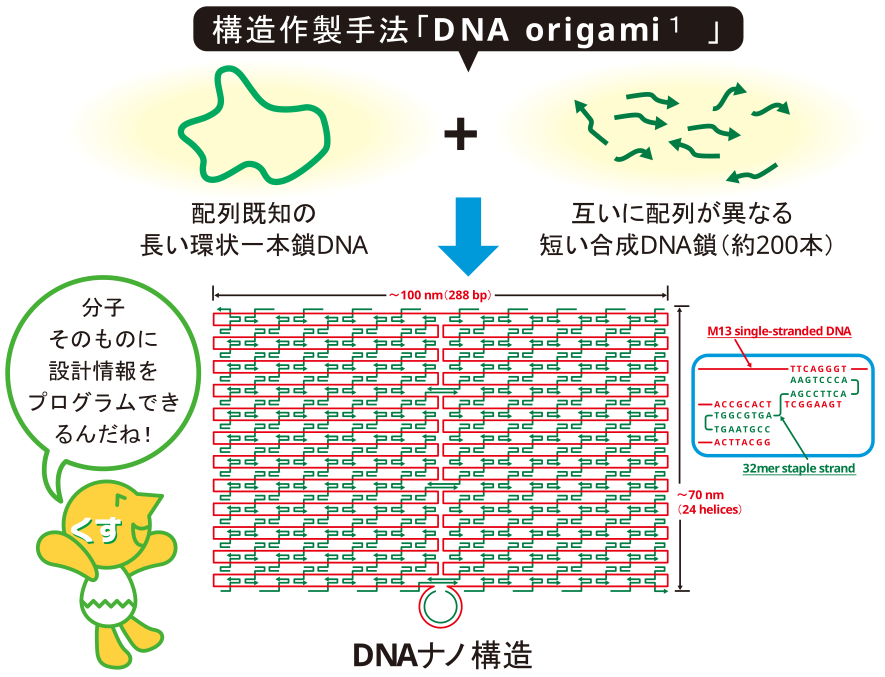 DNA=「情報をコードしたプログラマブルなポリマー」
