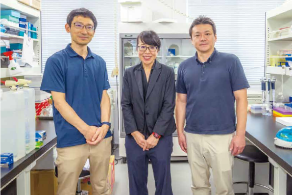 三重大Rナビ -三重大学の研究最前線- | 心血管病を克服する<br