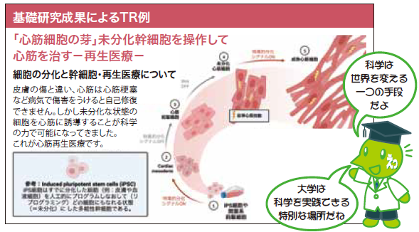 新生理科学大系 16 循環の生理学 人体の構造と機能[2] 生化学 第14版 (系統看護学講座専門分野