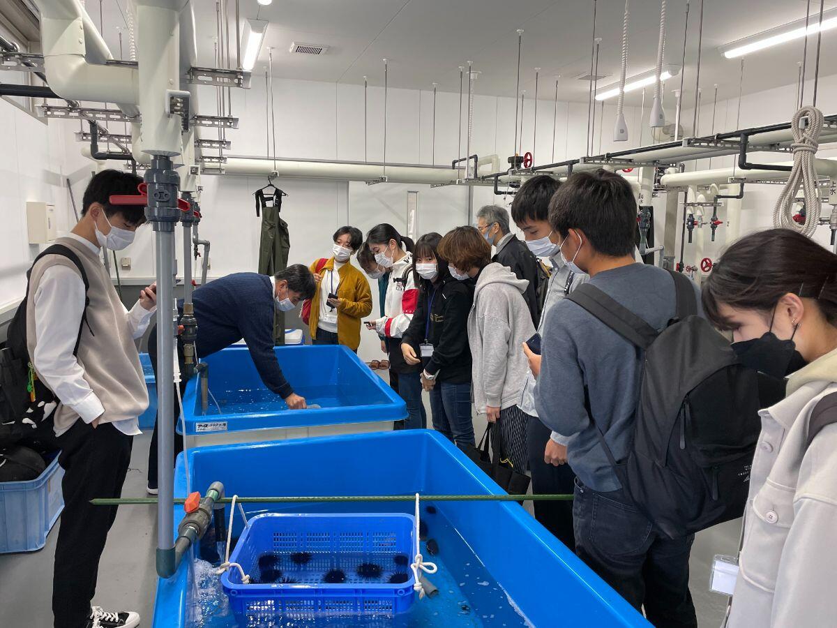 水産実験所見学