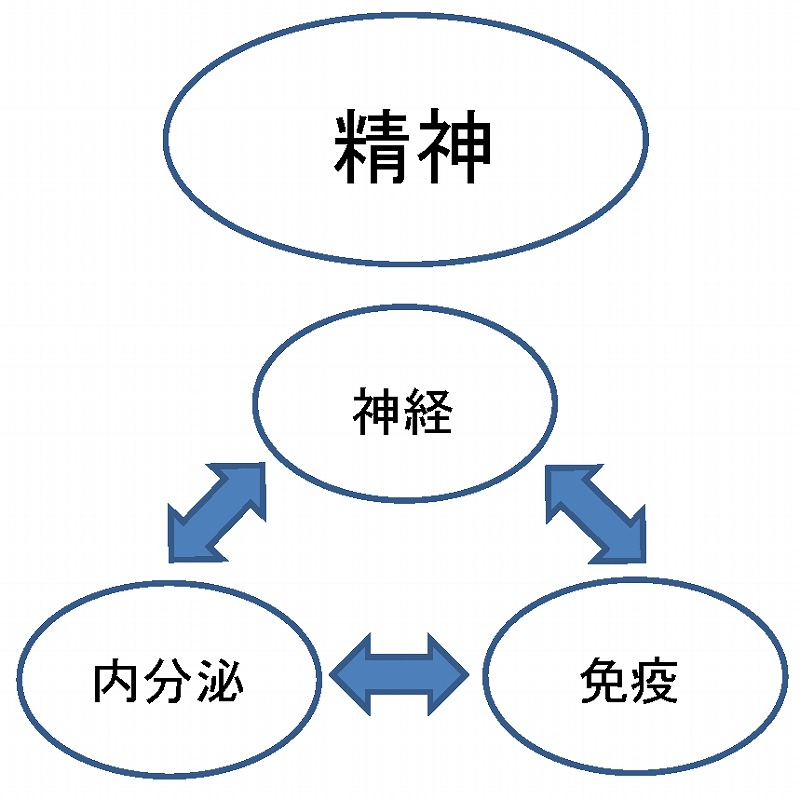 図：精神