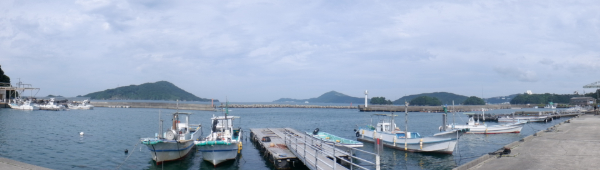 実験所から見た鳥羽湾