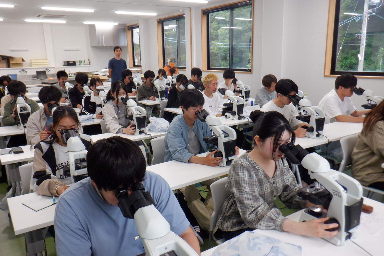 fsc鳥羽市水産研究所