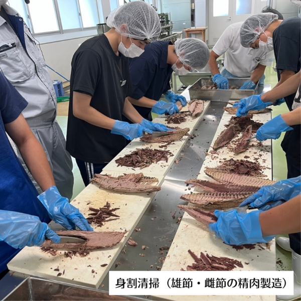 身割清掃（雄節・雌節の精肉製造）