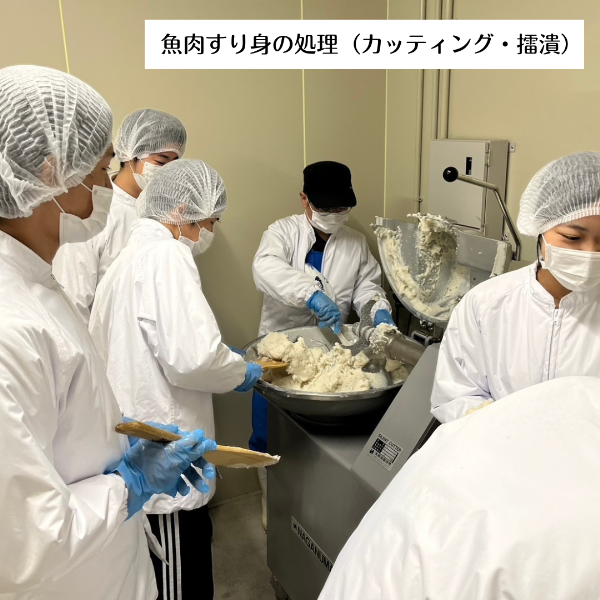 魚肉すり身の処理（カッティング・擂潰）