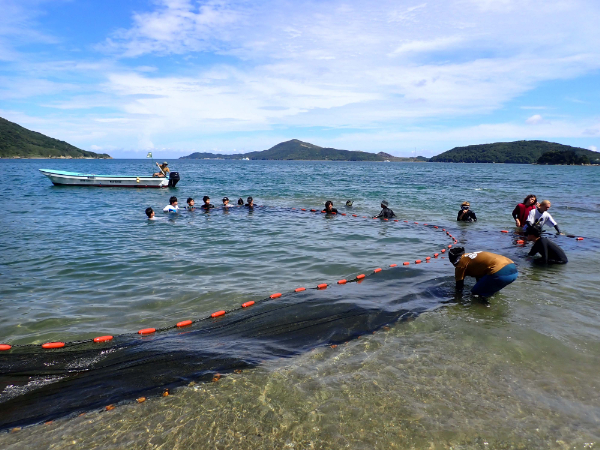 魚類相調査の様子（中）