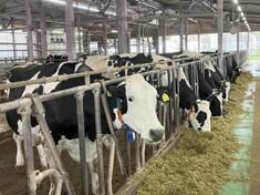 大学×農業大学校×企業が連携　～カステラの切れ端で乳牛飼料の可能性を検証～_画像.jpg