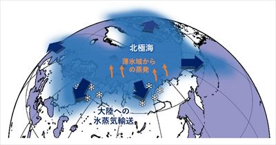 北極域の温暖化と水蒸気輸送変化の模式図