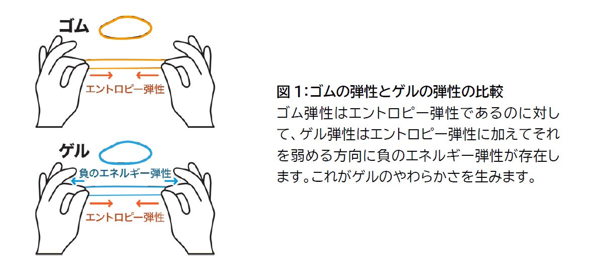 図1：ゴムの弾性とゲルの弾性の比較JPG