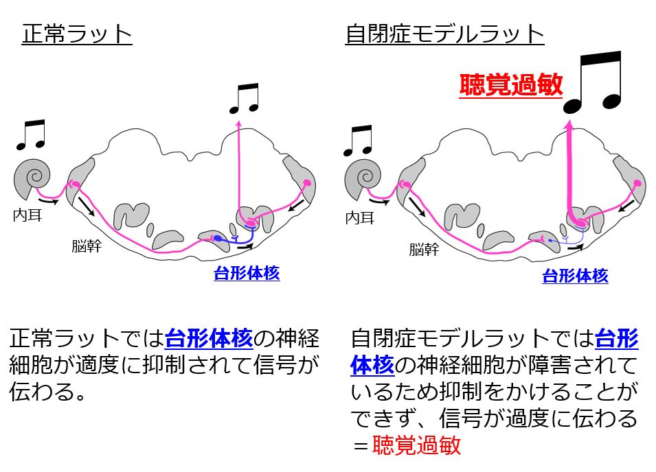 参考２