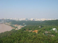 0811121.jpg