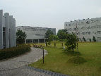 09061203S.jpg