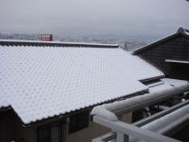 snow1-1.JPG