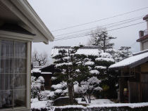 snow2-2.JPG