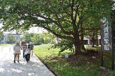 鍵を受領後避難建屋に向かう皆さん.jpg
