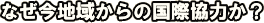 Ȃn悩̍ۋ͂H