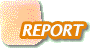 REPORT