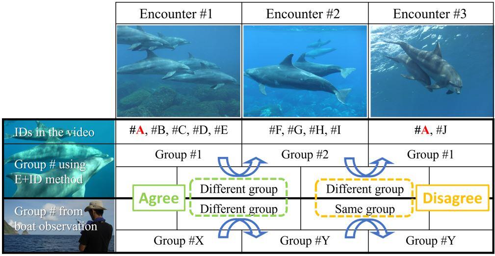 Fig. An example of the comparison between boat and underwater observations