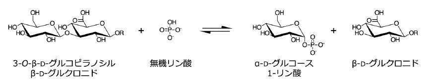 新しい酵素 図