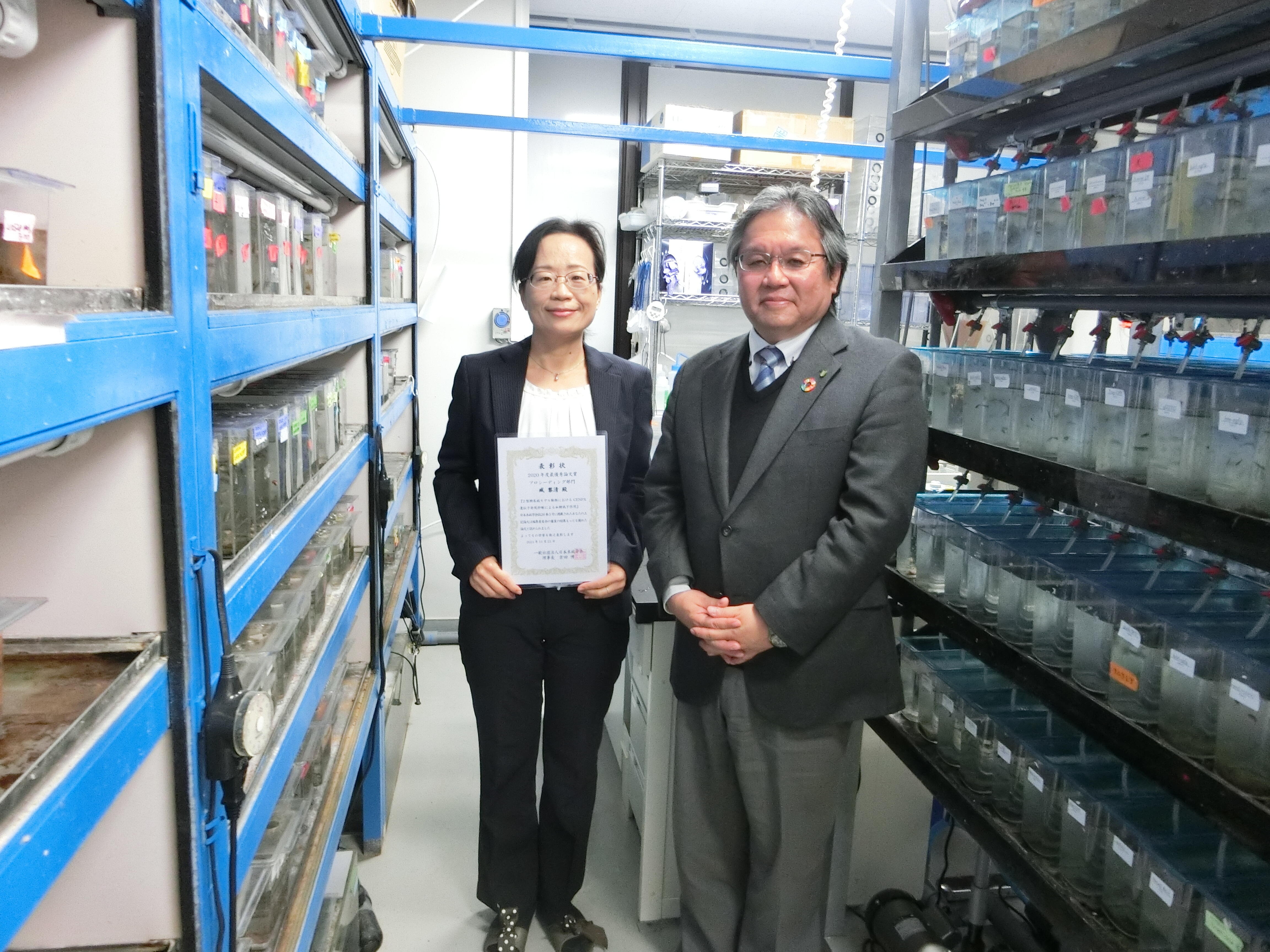 In the zebrafish breeding room