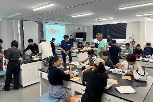 魚類を観察する様子
