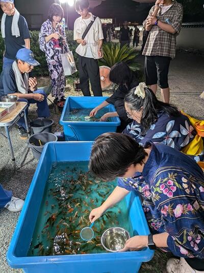 金魚すくいの様子