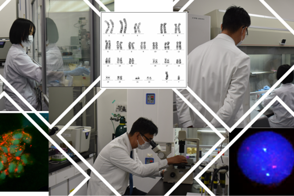 研究の様子