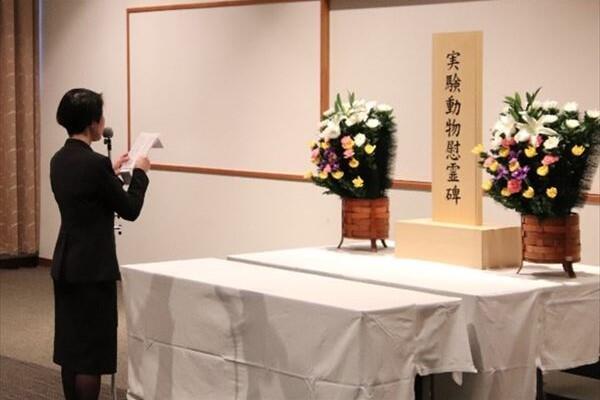 今中動物実験委員会委員長