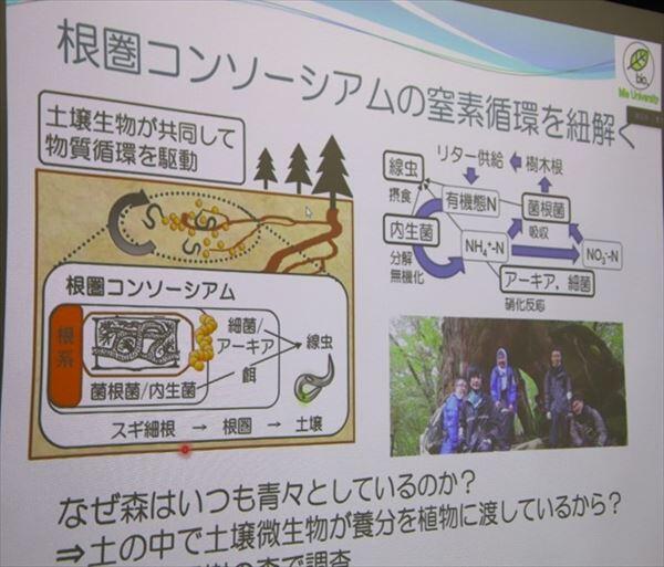 発表スライド