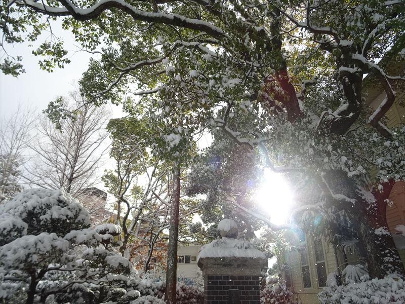 三翠会館近くの雪と朝日