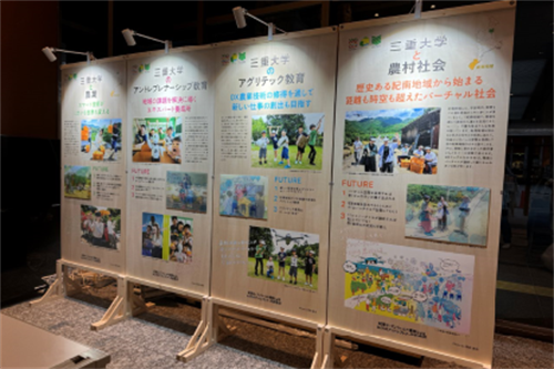 展示の様子