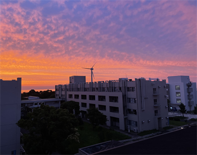 諸岡さん写真