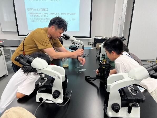 顕微鏡で観察する様子