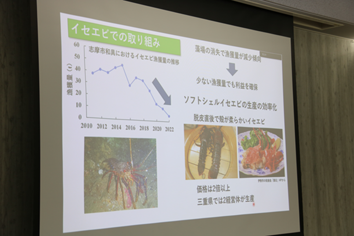 イセエビでの取り組み