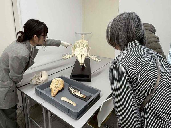 ワークショップの様子