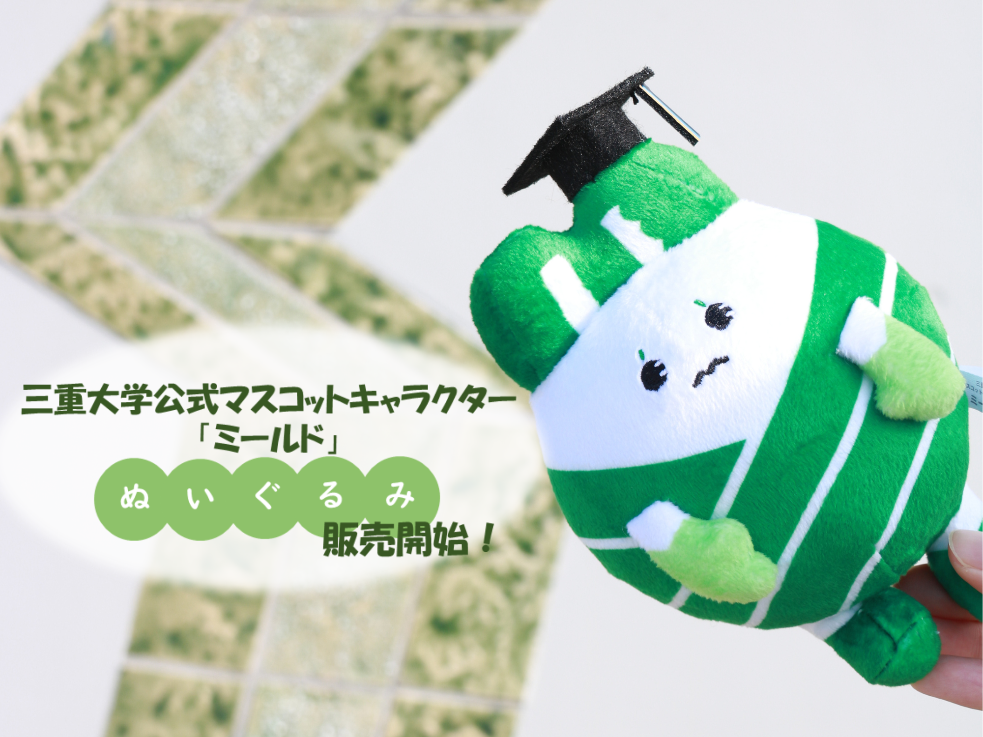 ミールドぬいぐるみ