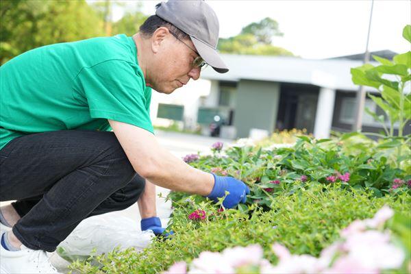 伊藤学長　草抜きの様子