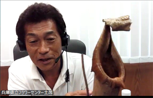 土居先生と、ギネス認定された巨大ウツボカズラの標本
