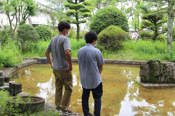 池へ放流された三重大メダカを眺める学生ら