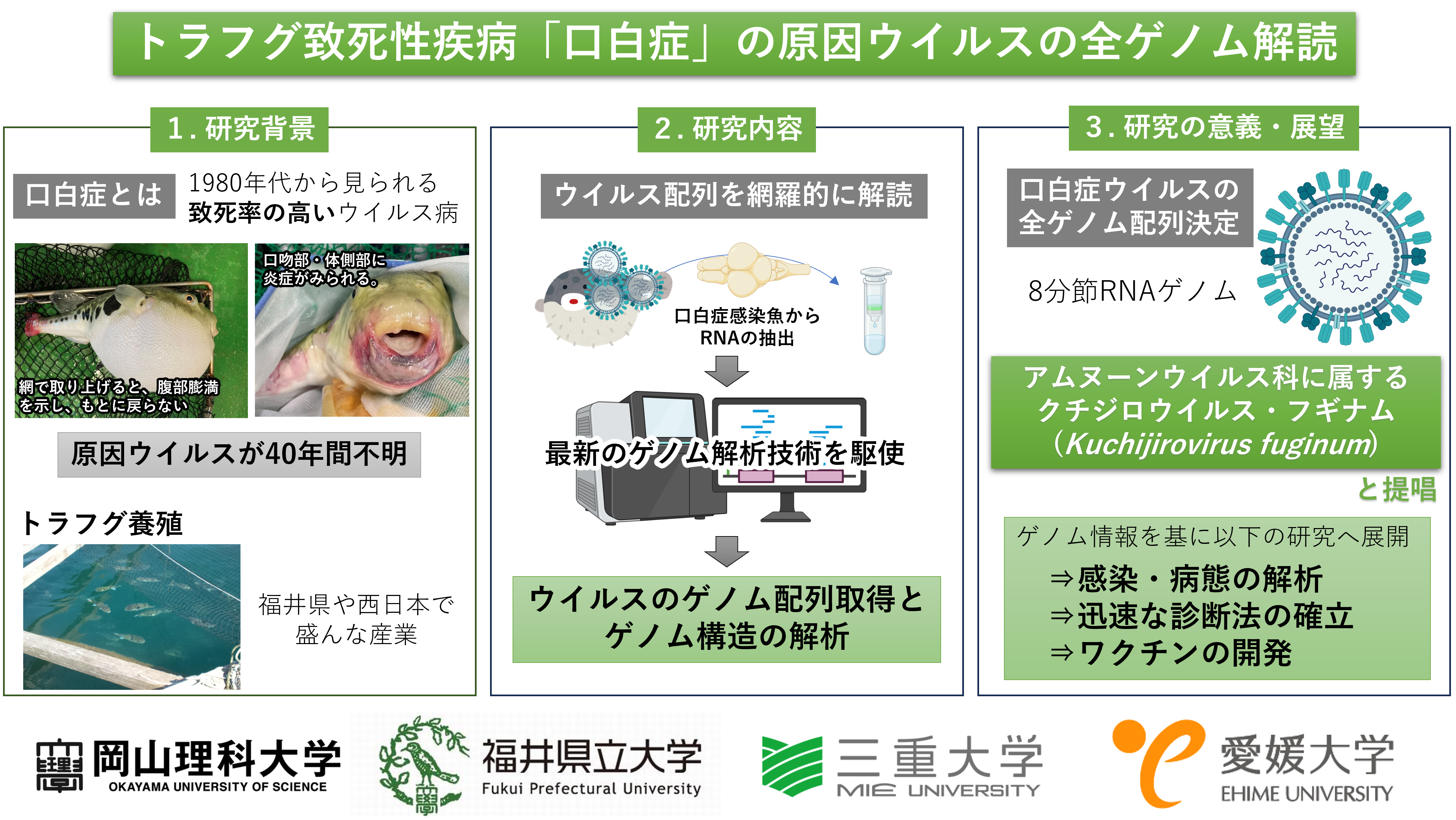 2026 口白症論文 画像.png