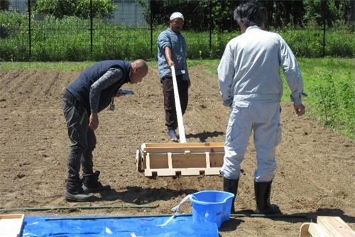 種蒔きのようす