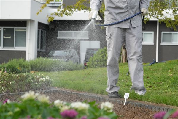 花壇に水をやる様子
