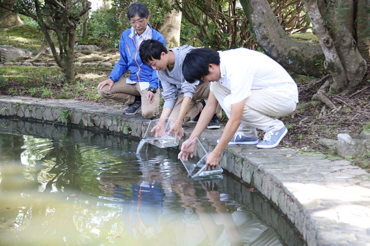 2年前のメダカの放流の様子