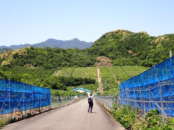 現地観察を行った中立団地の状況