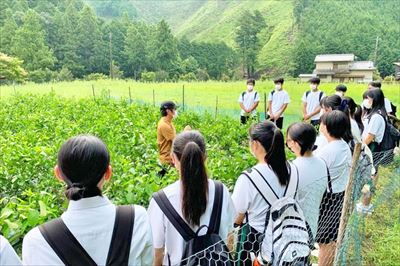 地域学習「尾鷲高校まちいく」